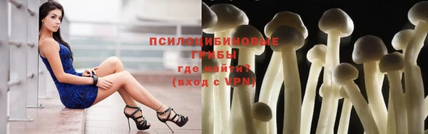 гашиш Новокубанск