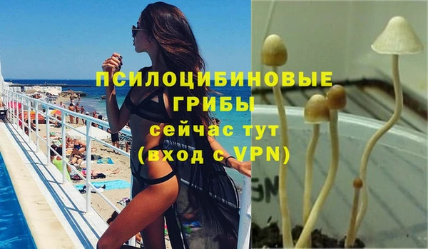 прущая мука Елизово