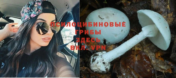 молекула духа Нея