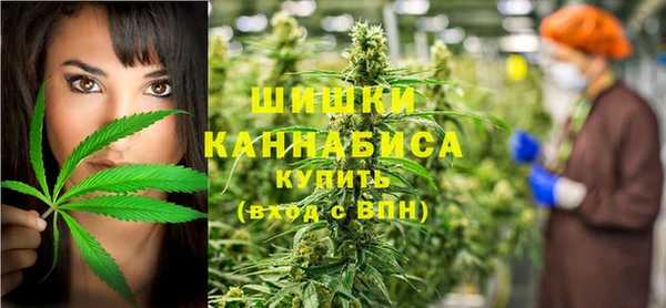 mdpv Новозыбков